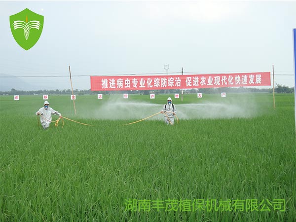 九游娱乐·案例